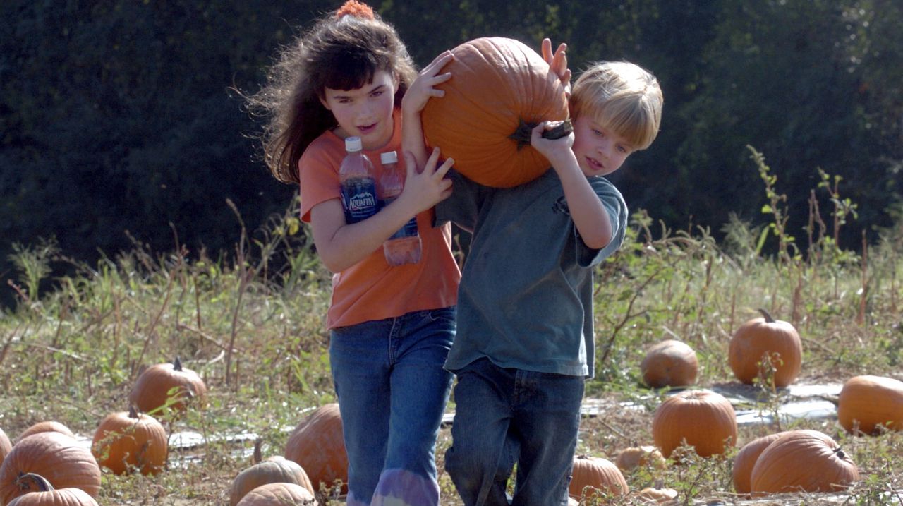 The Great Pumpkin Patch