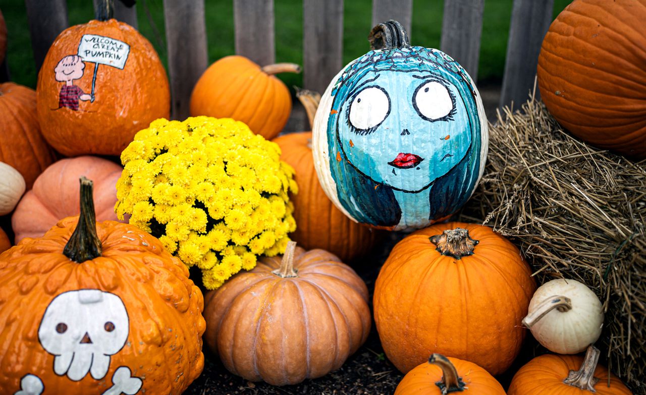 Decorated pumpkins