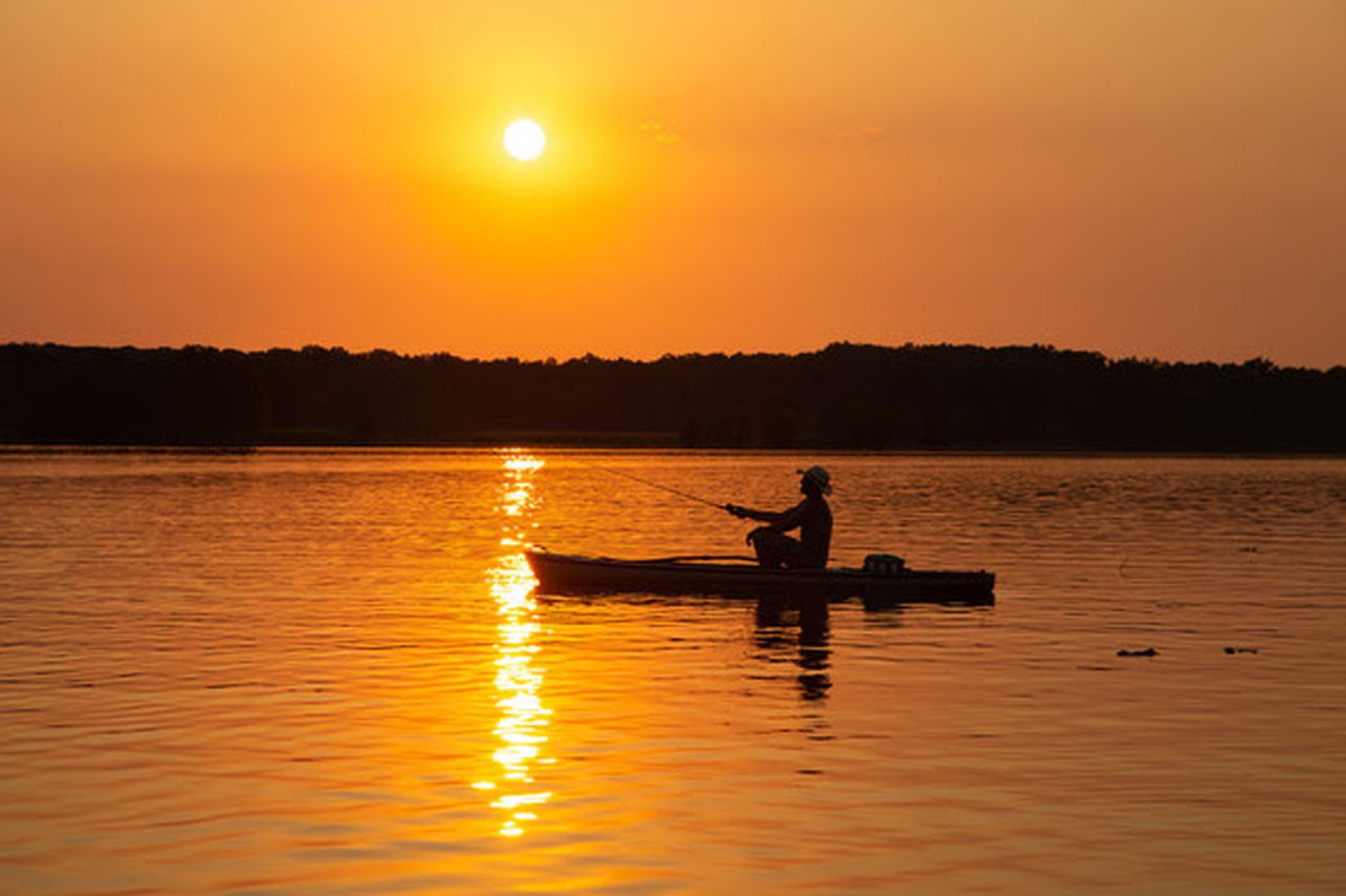 Many in Georgia now wish they had something like Alabamaâs Forever Wild