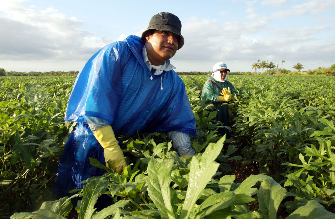 New Florida law echoes Arizonaâs unforeseen consequences of immigrant work authorization