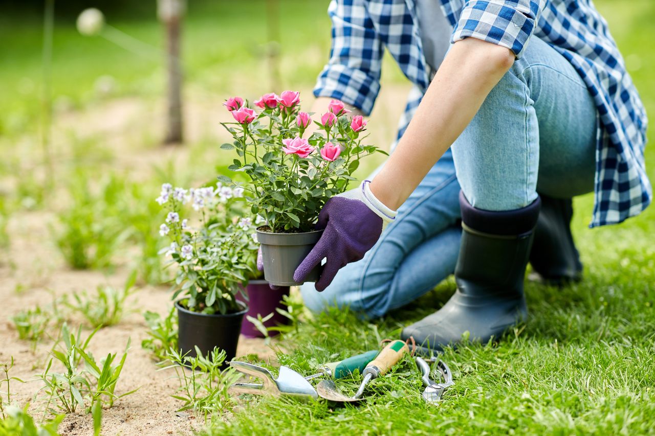 Six reasons fall is the right time to plant in Alabama