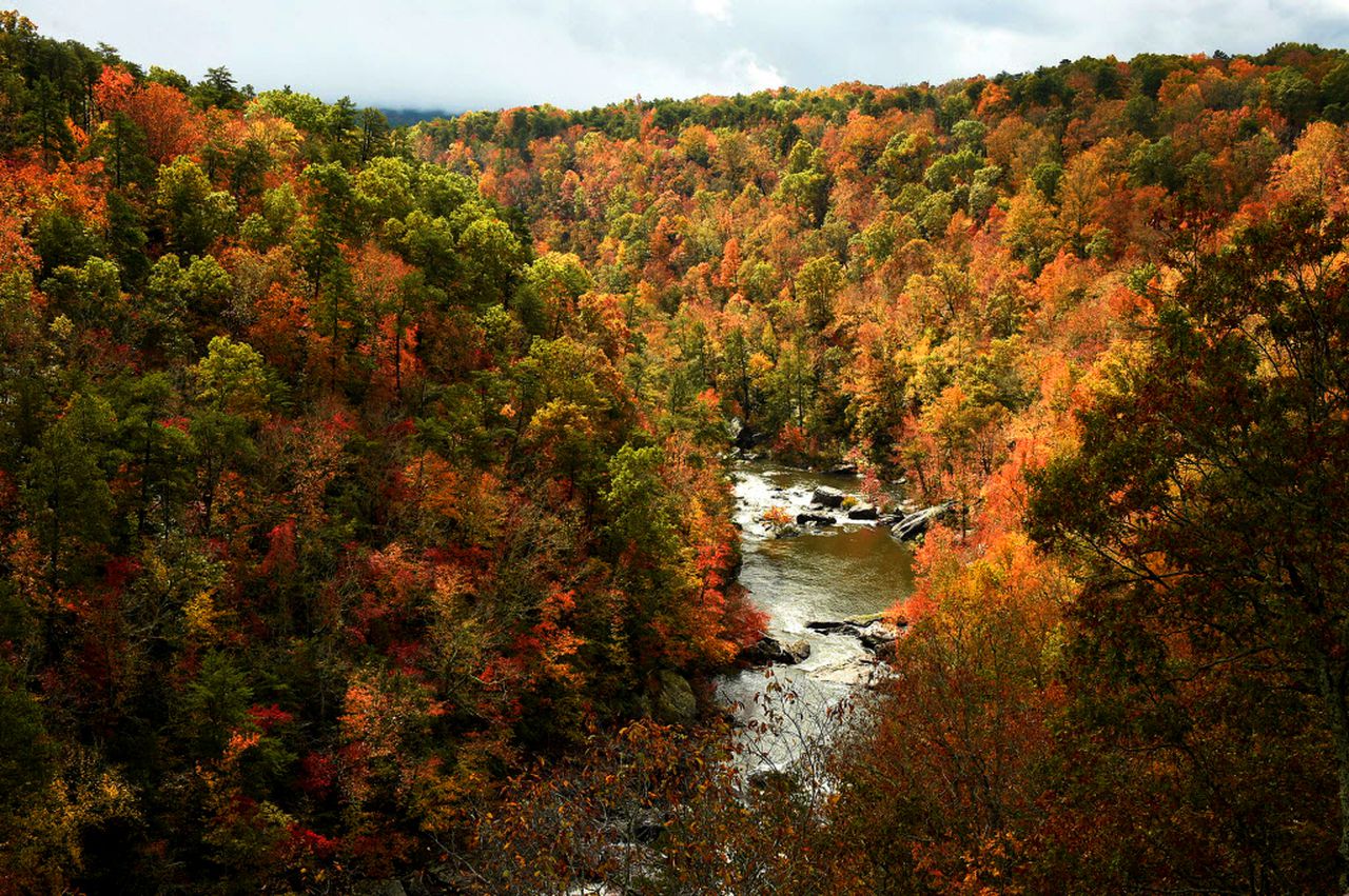 Southern Living says these 2 places are best for fall color in Alabama