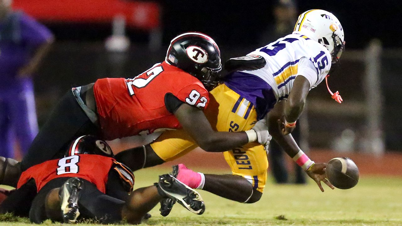 Theodore forces 4 turnovers, shuts out Blount