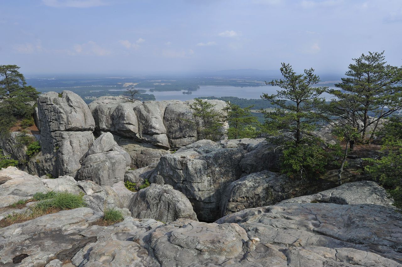 UGA student Faye Zhang fell 90 feet to her death rock climbing in Alabama, leaves community heartbroken