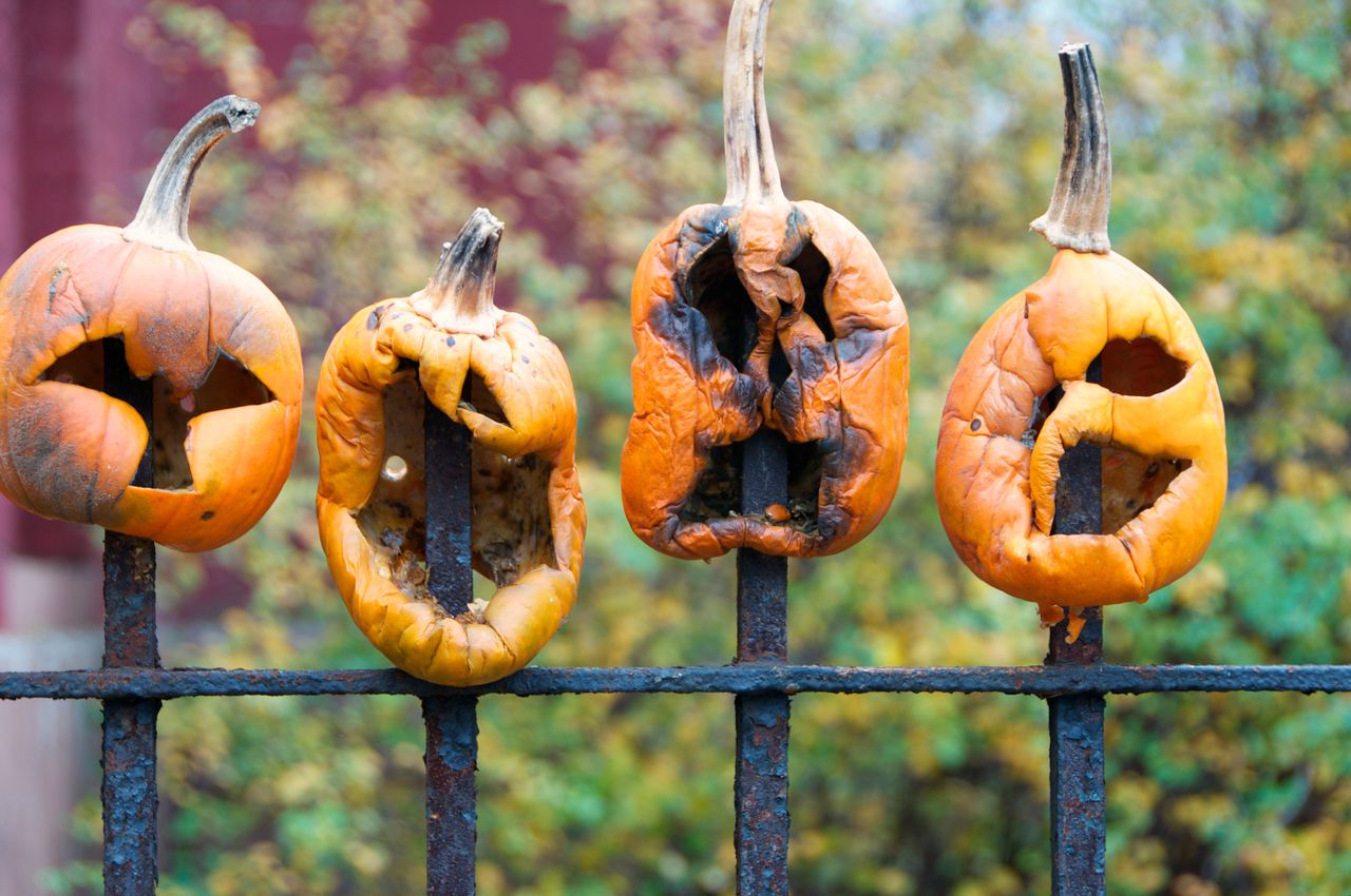 Impaled pumpkins