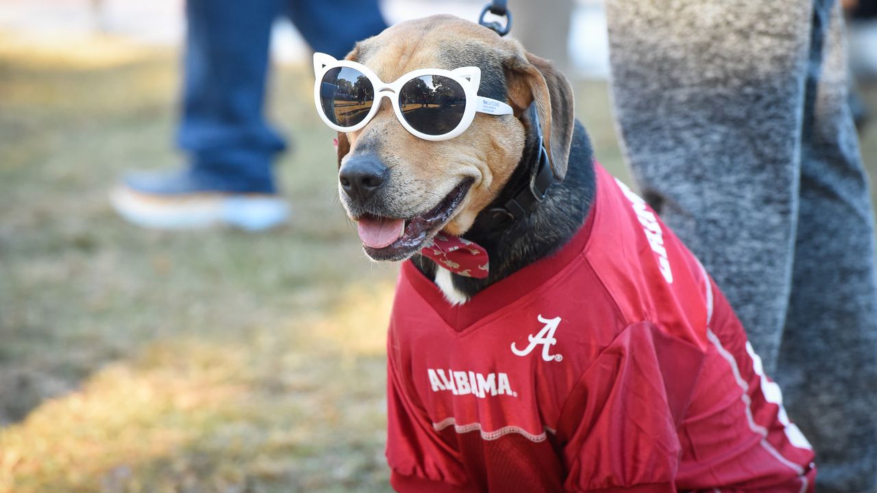 Alabama LSU Fans ESPN College GameDay 2023