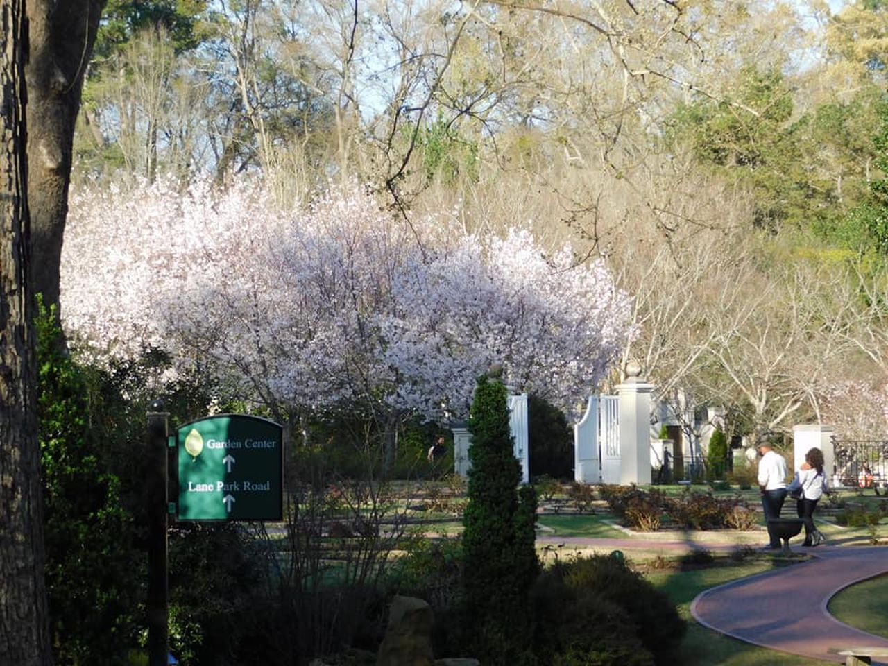 Birmingham Botanical Gardens rated âMost Peaceful Attractionâ in Alabama