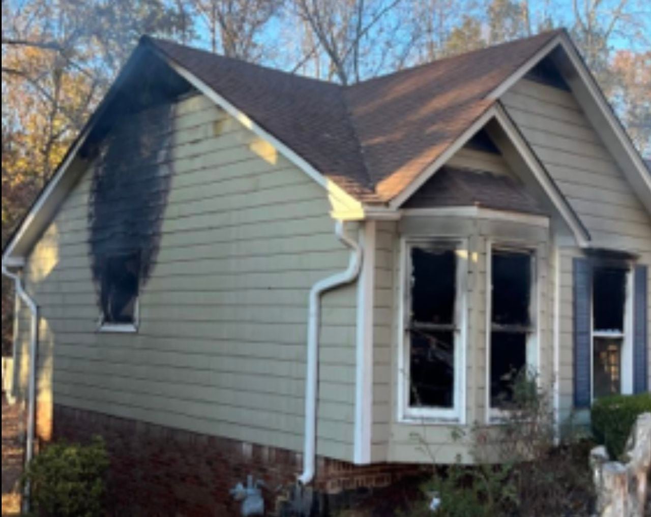 Firefighters unable to resuscitate dog pulled from burning Birmingham home