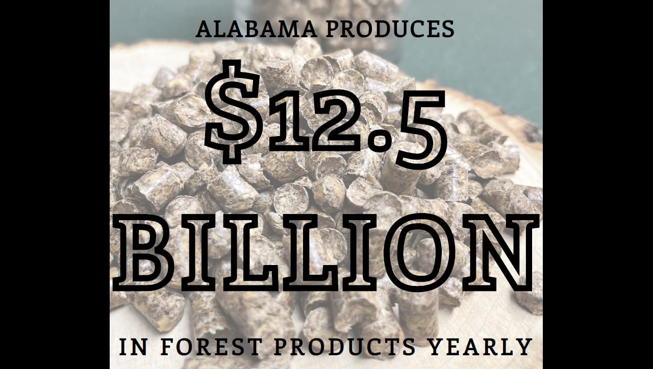 Guest opinion: Sustaining Alabamaâs forests and rural economies