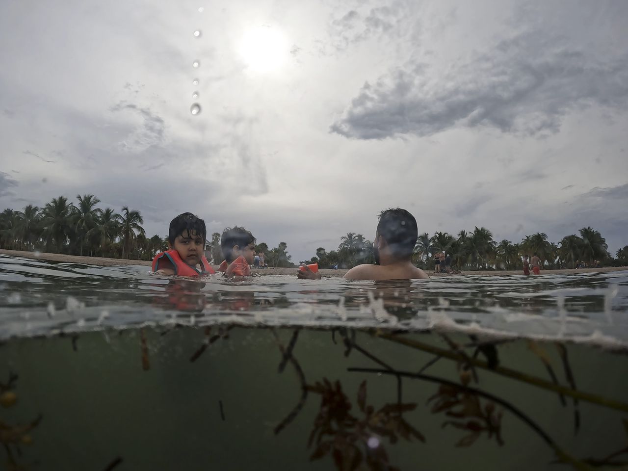 Researchers find high counts of flesh-eating bacteria in Florida waters after hurricanes