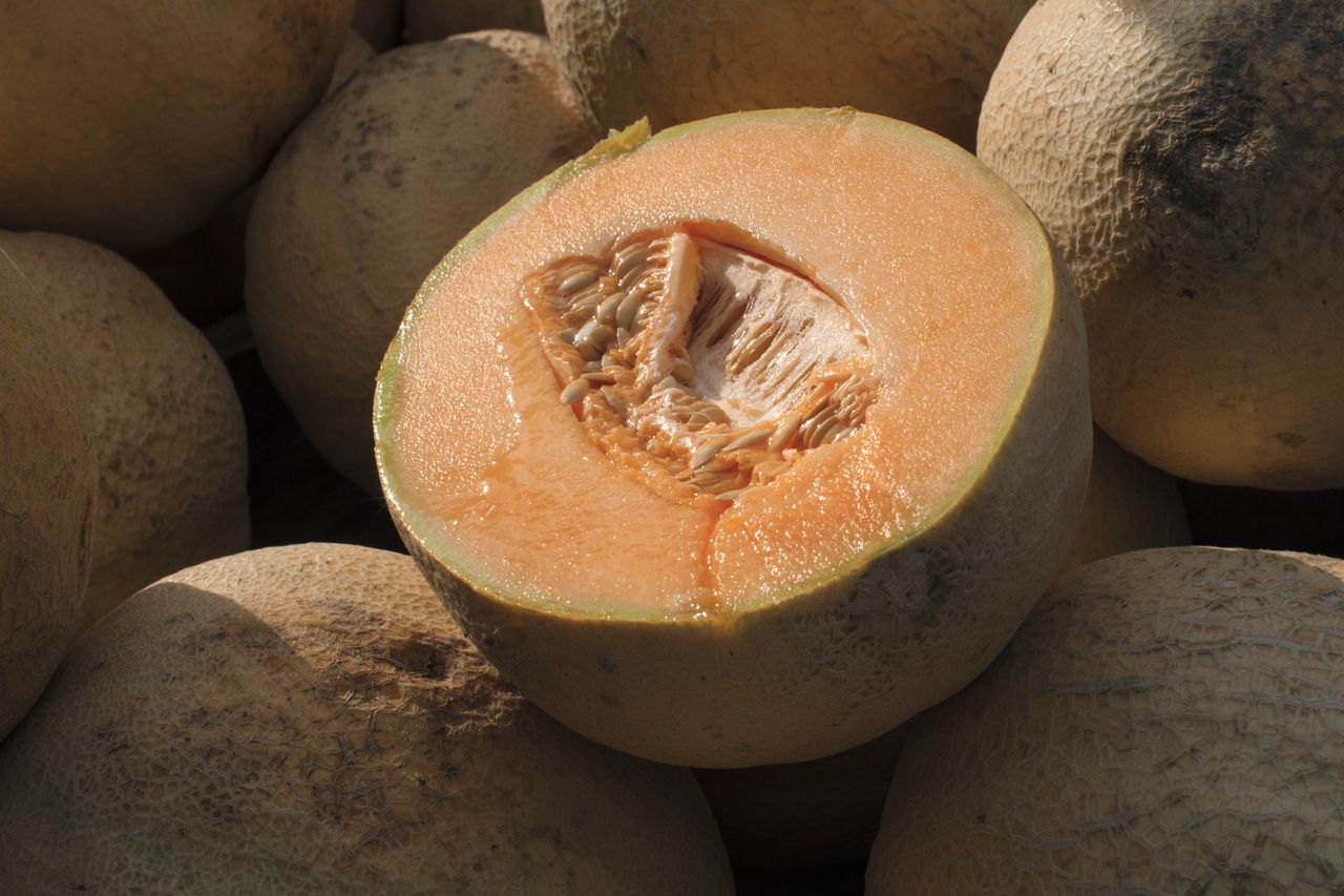 Salmonella outbreak: 2 dead, more hospitalized in 32 states; What to know about cantaloupe recall