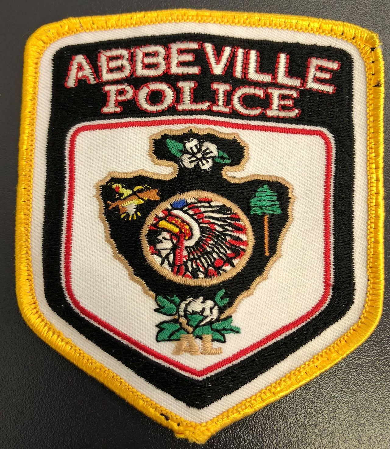 Abbeville interim police chief resigns hours after suspension: âIf I screwed up, thatâs on meâ