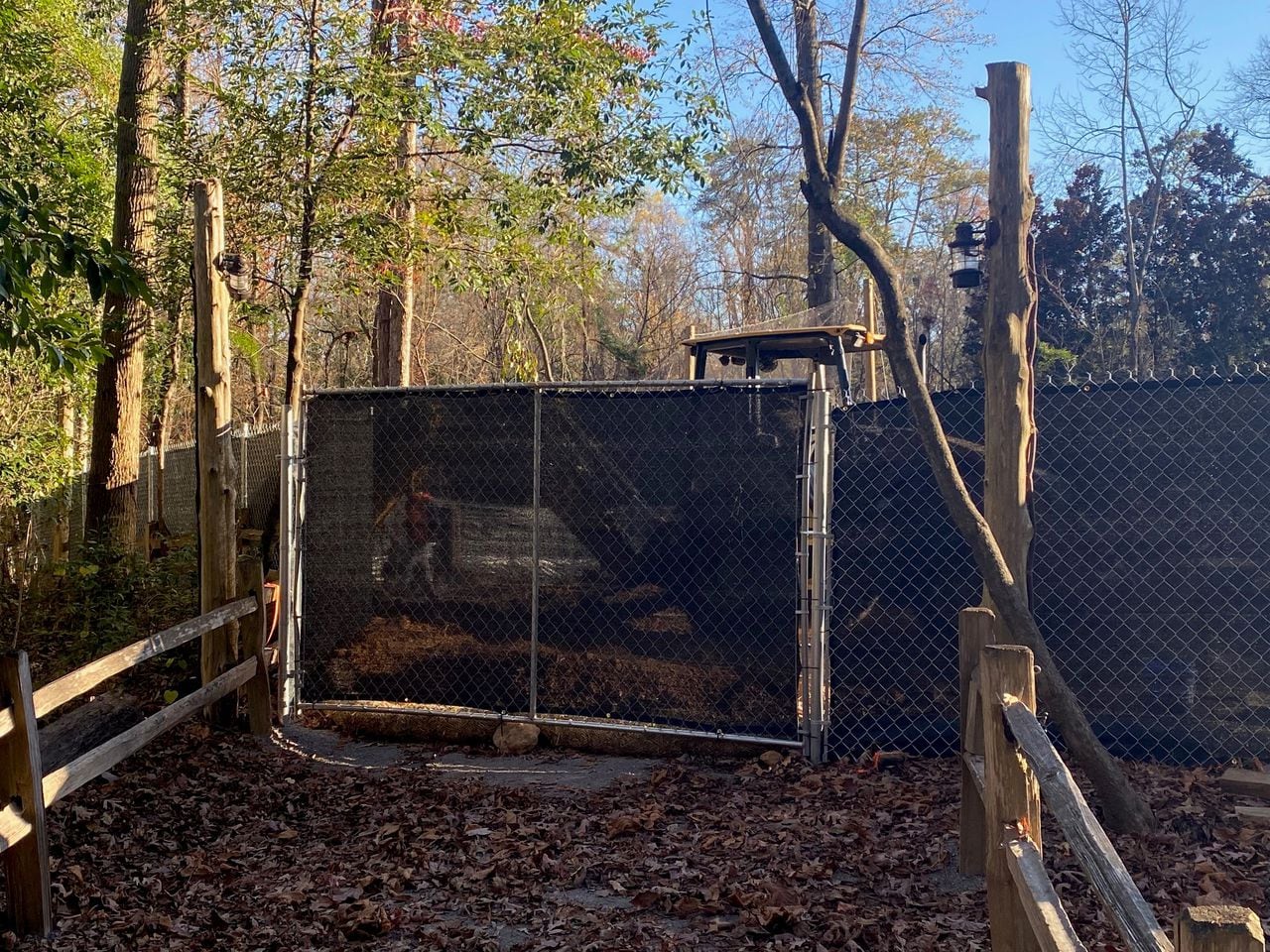 Archaeologists begin moving graves to make way for new Birmingham Zoo exhibit