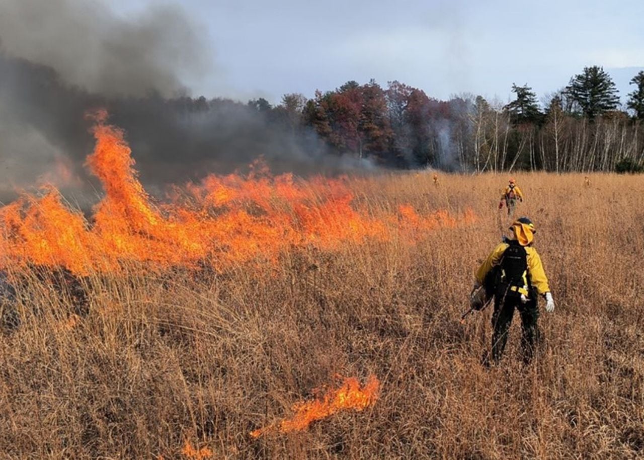 Burn order lifted, 11 Alabama counties under âfuel advisoryâ