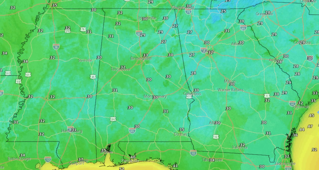 Some snowflakes spotted overnight in Alabama