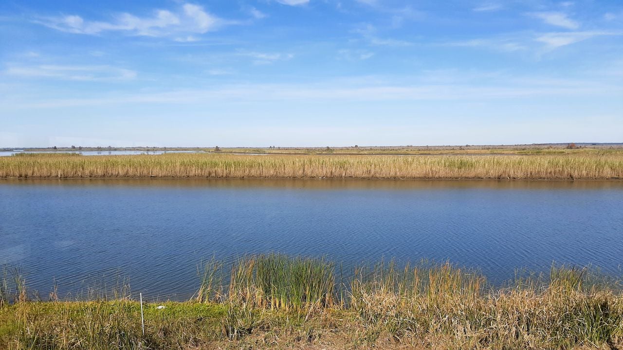 You can get a fried shrimp po-boy anywhere, but there's something to be said for enjoying one at the water's edge.