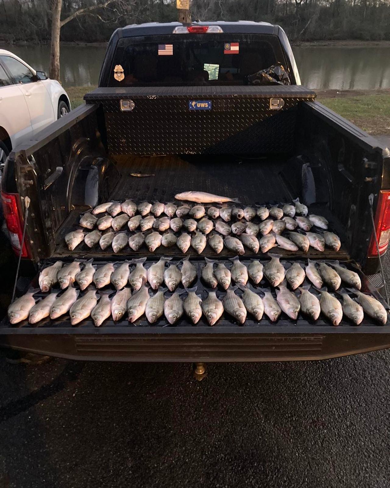 This truckload of illegally caught fish will feed a family in Georgia