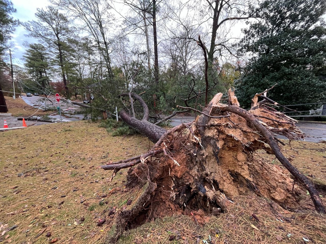 Trees downed across Homewood as storms hit Birmingham area: See photos, video