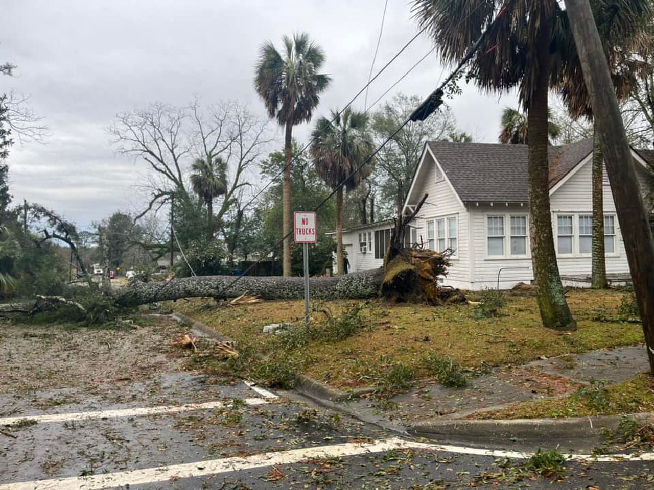 Cottonwood storm damage