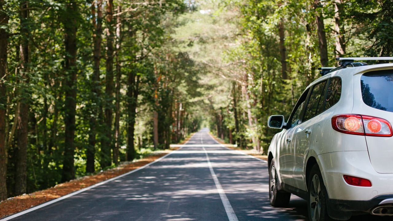 Dear Abby: Should I start driving again?