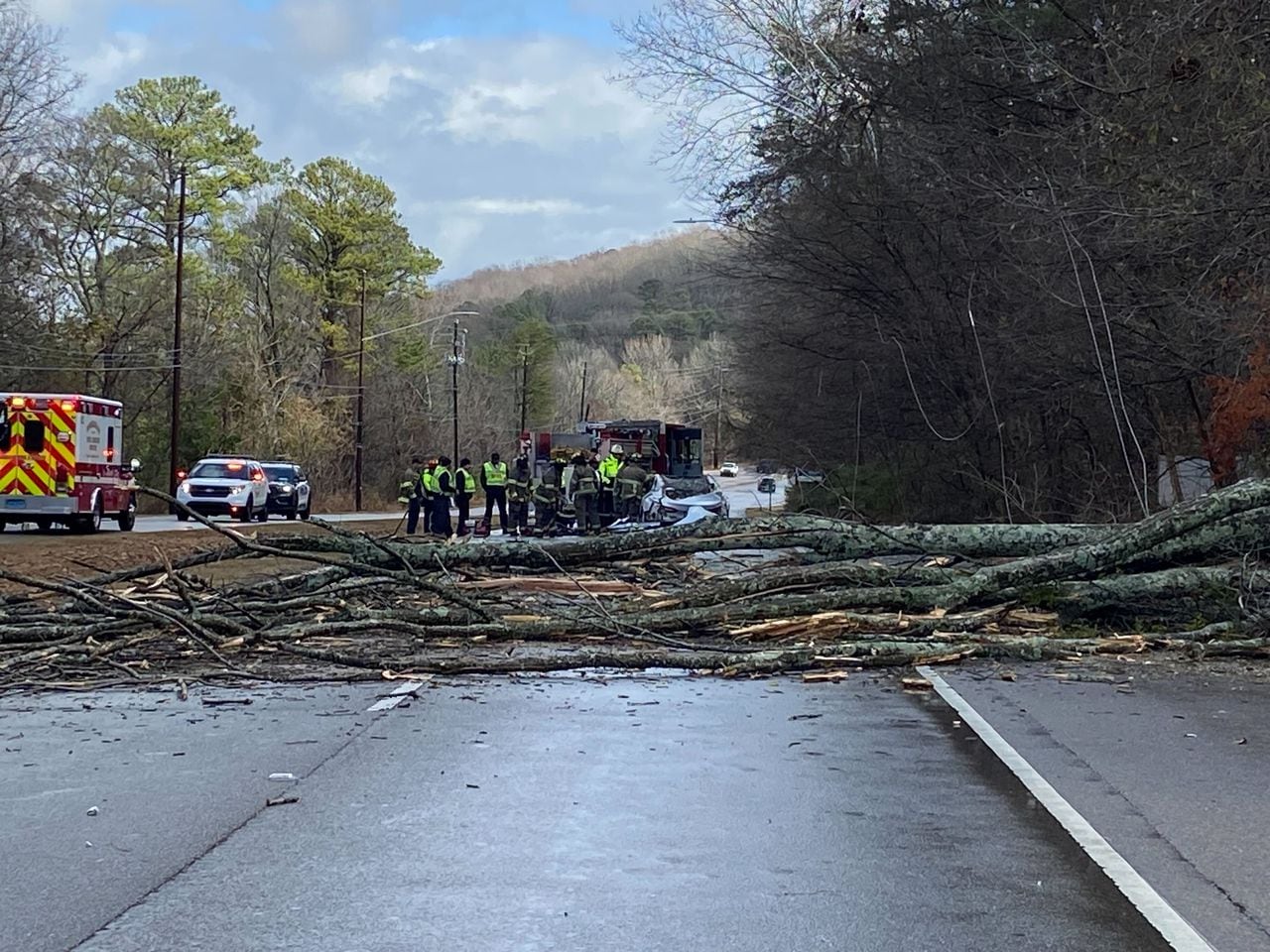 Driver killed by falling tree on Birminghamâs Crestwood Boulevard