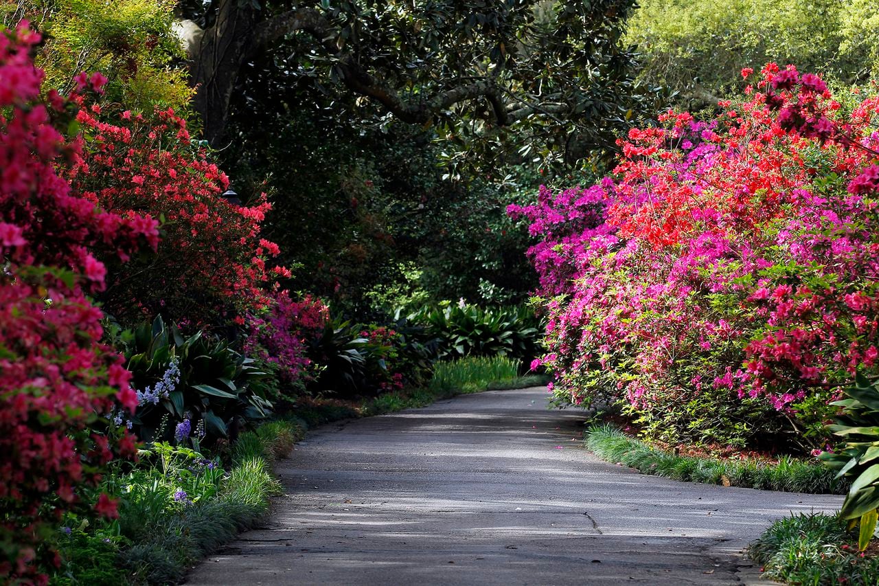 Bellingrath Gardens & Home