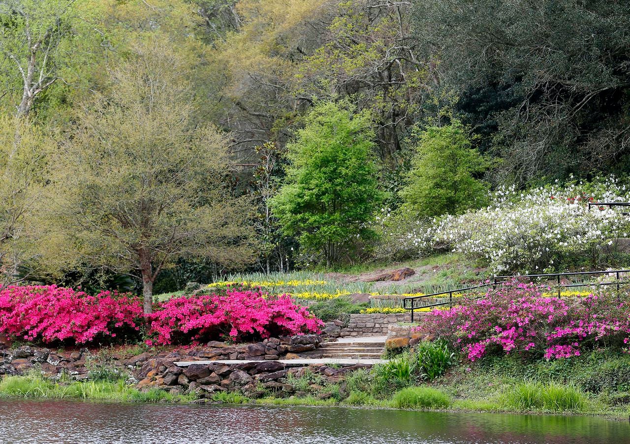 Historic Alabama gardens named among top 10 most beautiful in America: But who beat us?