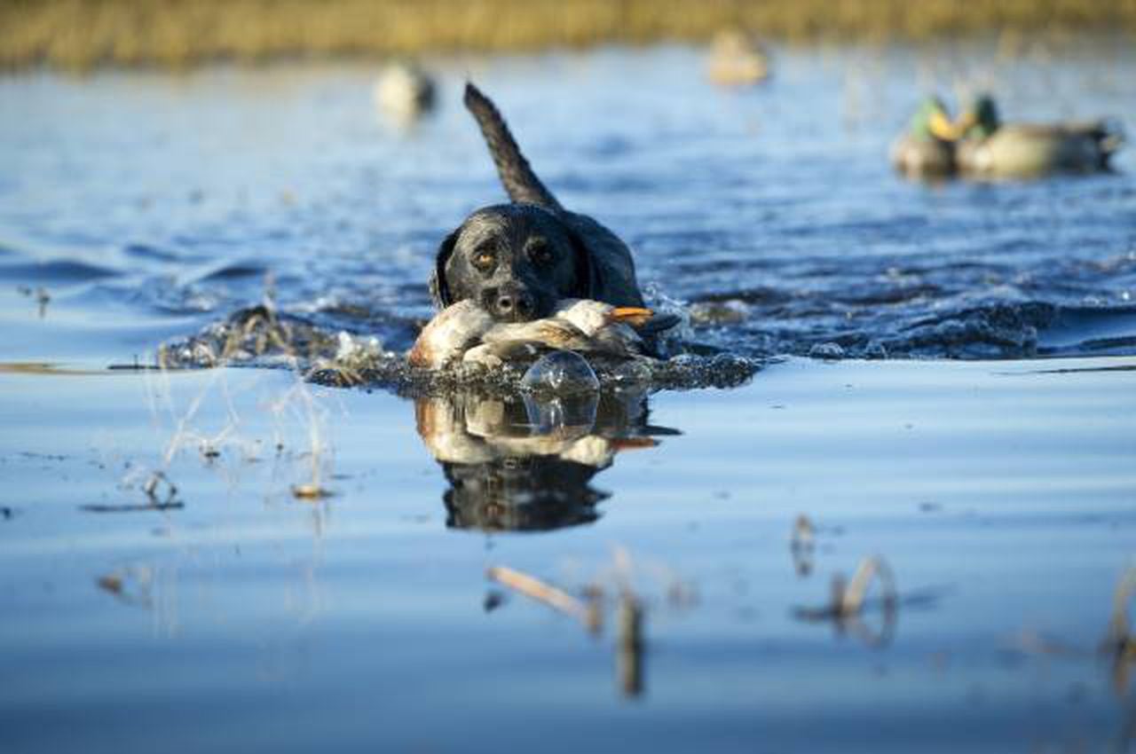 I got lucky once but wonât chance fate on the water again