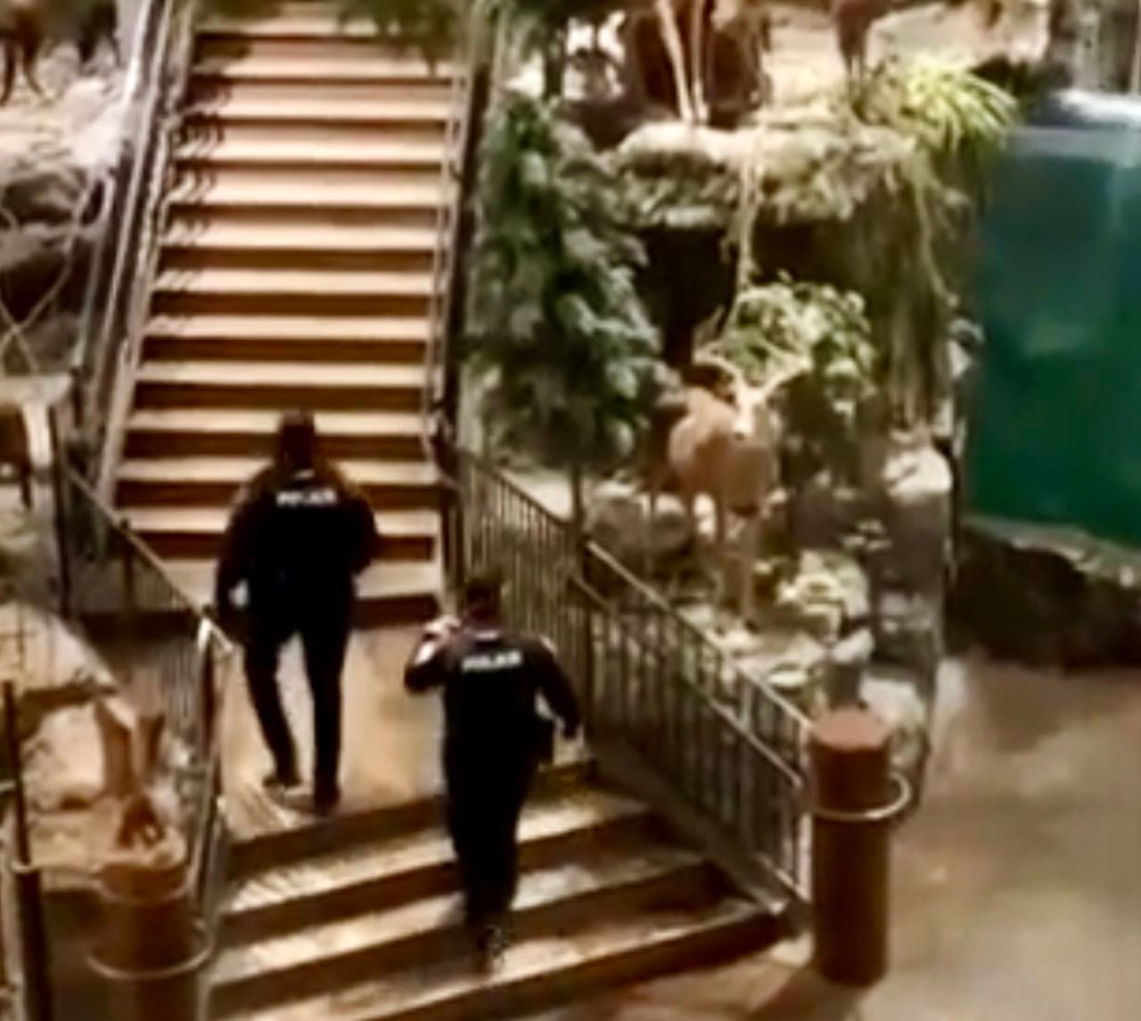 Man who cannonballed into Bass Pro Shop Leeds aquarium was on drugs, damaged police SUV, chief says