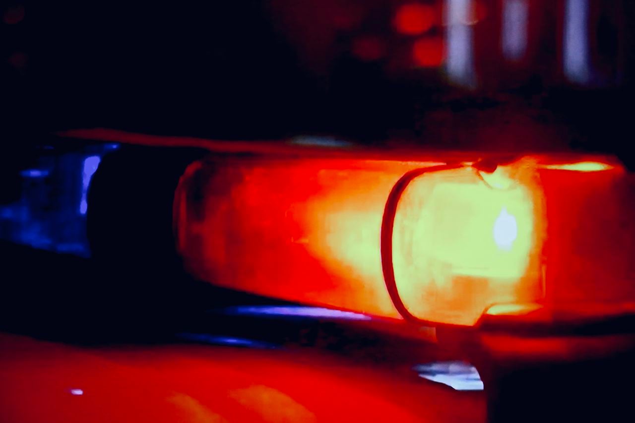North Alabama agency seizes 32 dogs from property, finds 3 dogs dead
