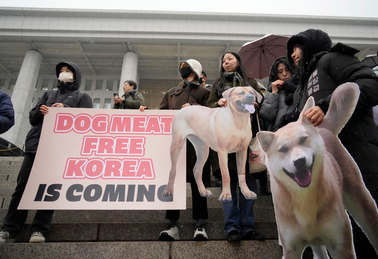 South Korean parliament passes ban on sale of dog meat for food