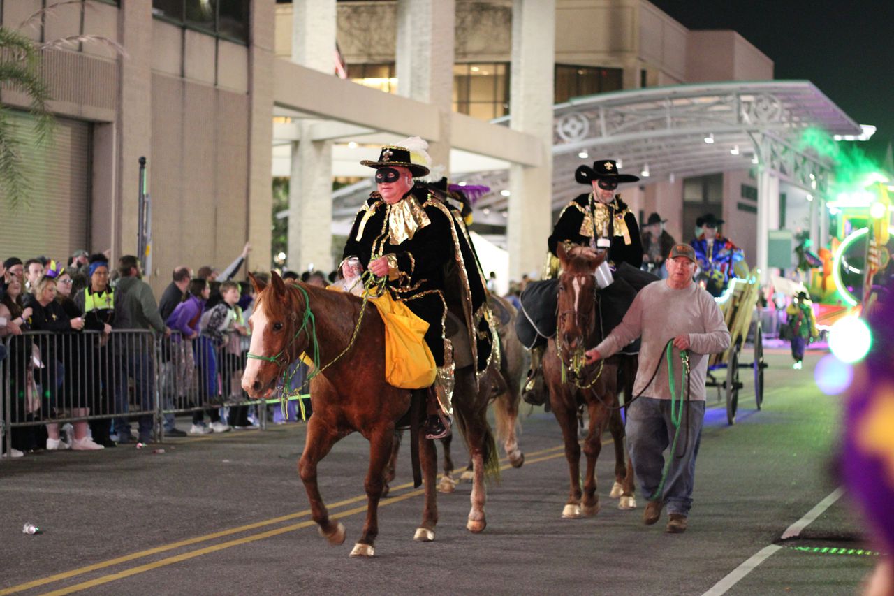 Veterinarians offer support, advice to Mobile for horse treatment during Mardi Gras