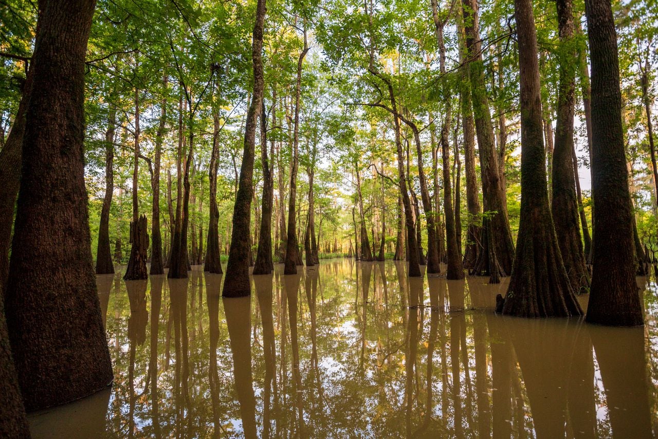 The Land Between the Rivers