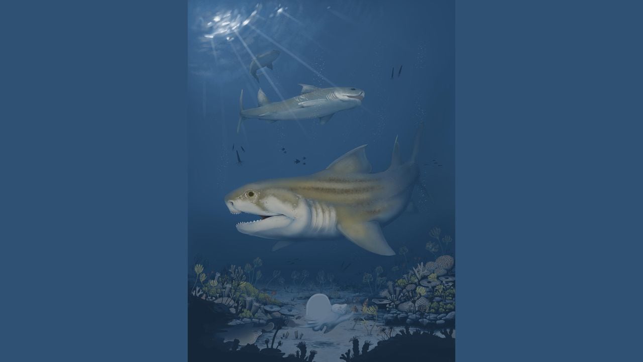 2 new species of prehistoric sharks discovered in northern Alabama, Kentucky