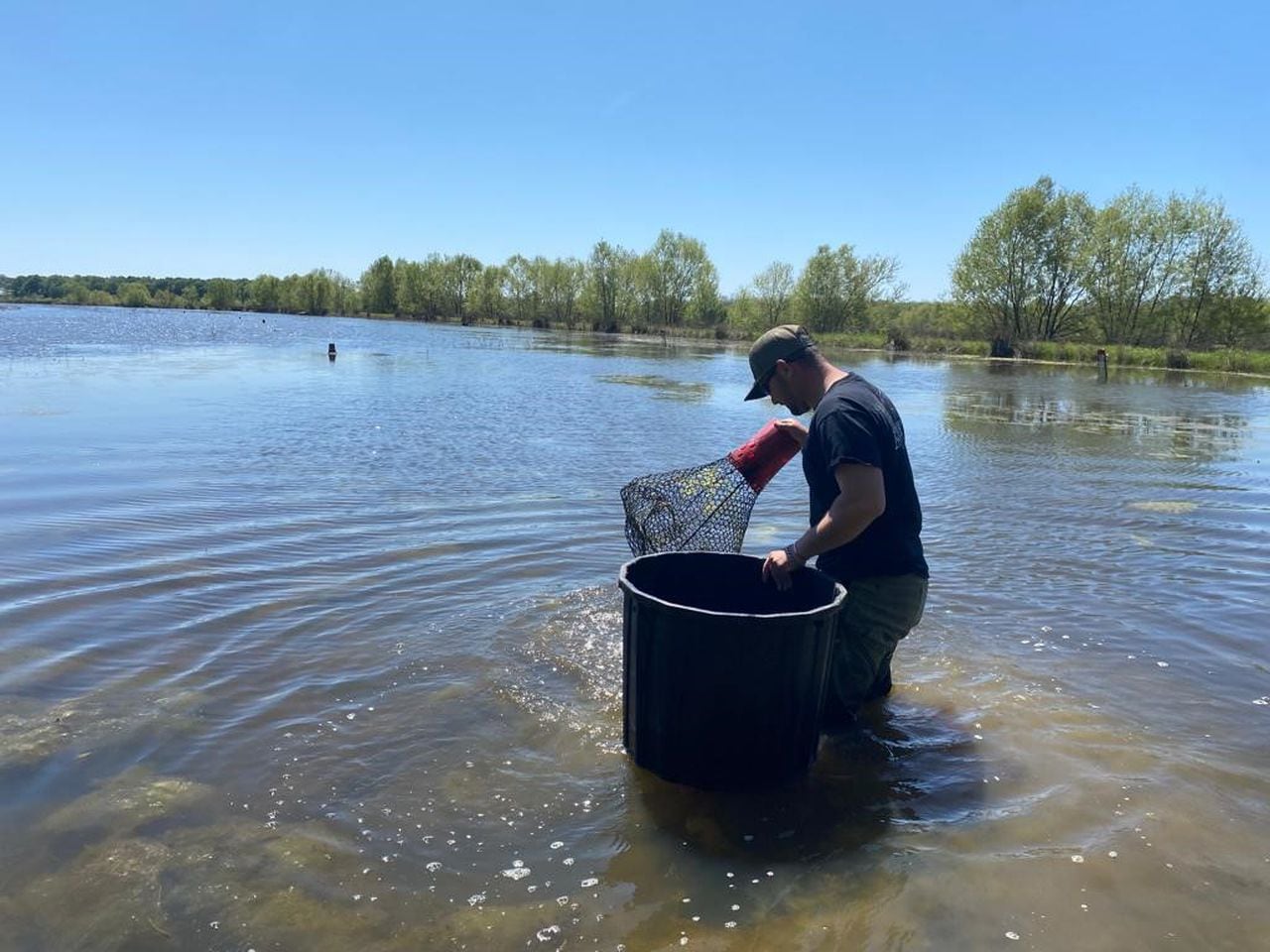 Crawfish farm