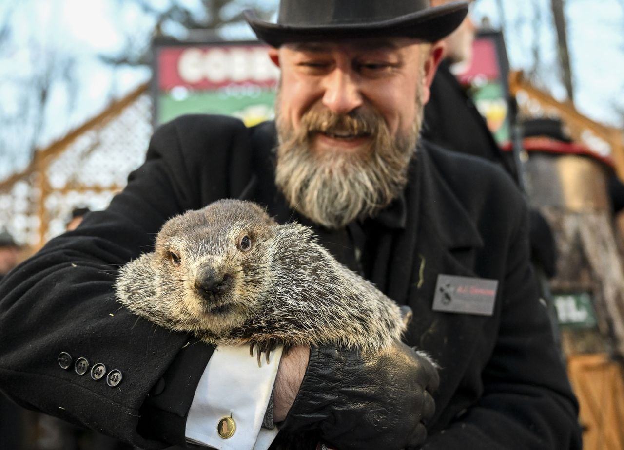 Groundhog Day 2024 answer: Punxsutawney Phil does not see his shadow, predicts early spring