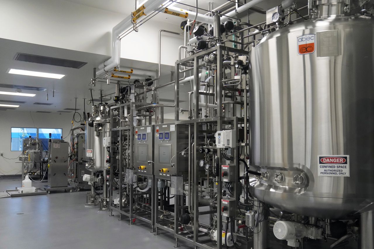 Guest opinion: A ban on lab-grown meat would take a bite out of freedom