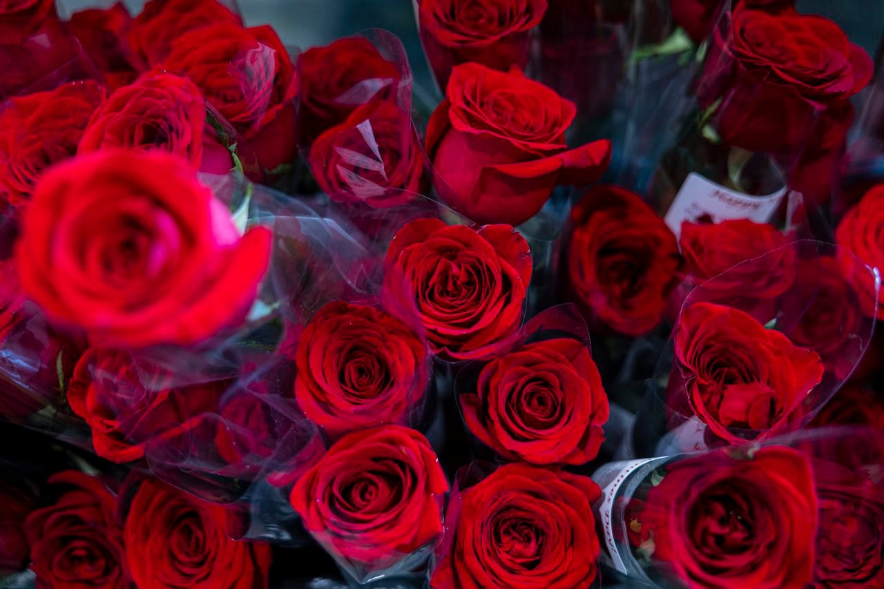 How much will a dozen roses cost you in Alabama? Hereâs your answer