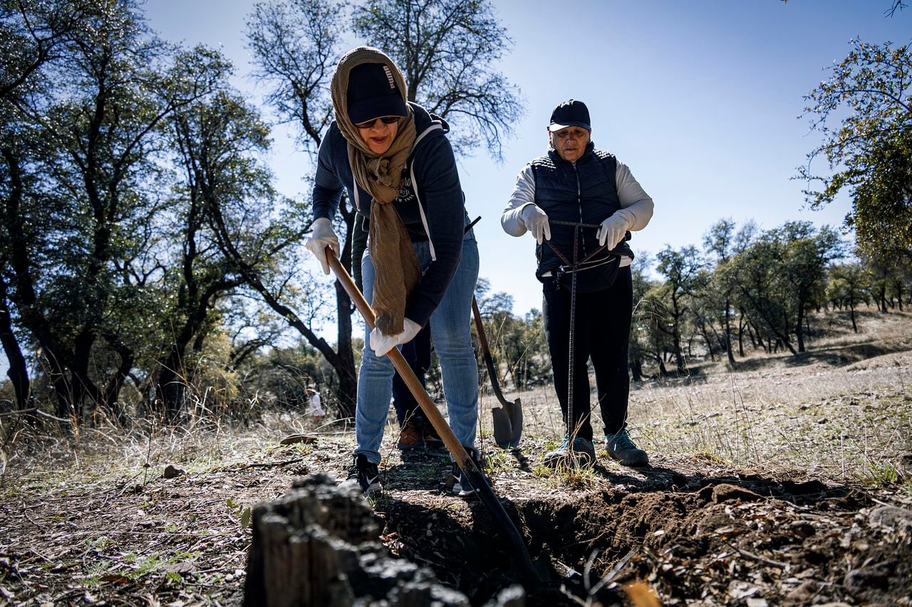 Missing persons in morgues in Mexico's national database are the twice disappeared