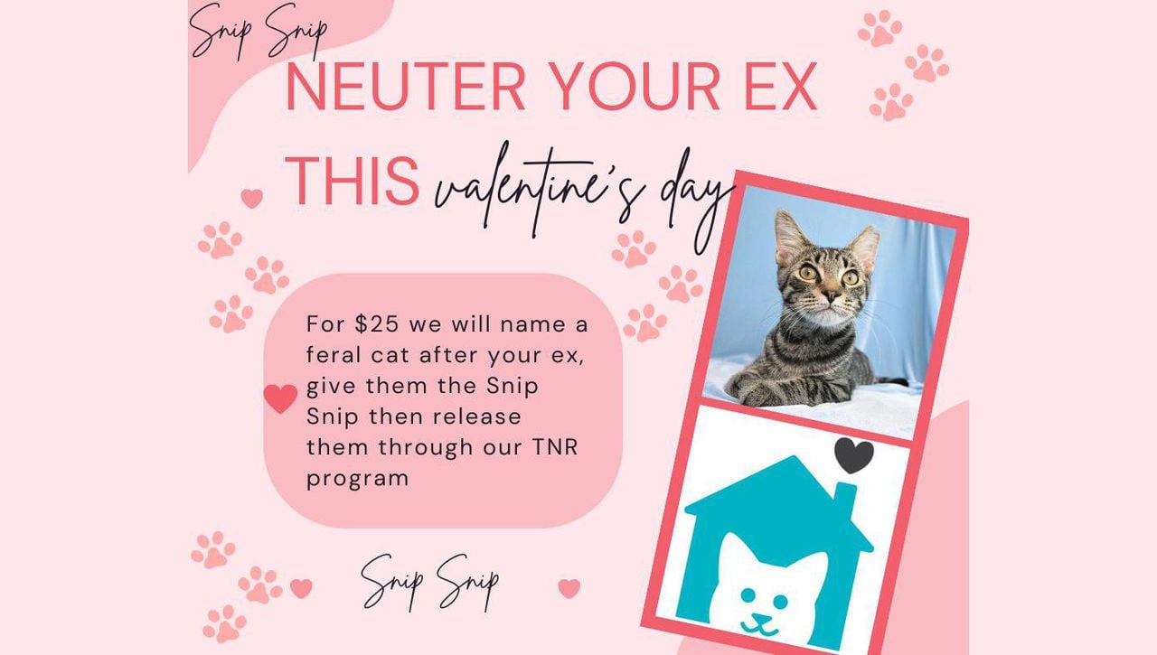 Mobile cat rescue group will 'neuter your ex' on Valentine's Day for $25