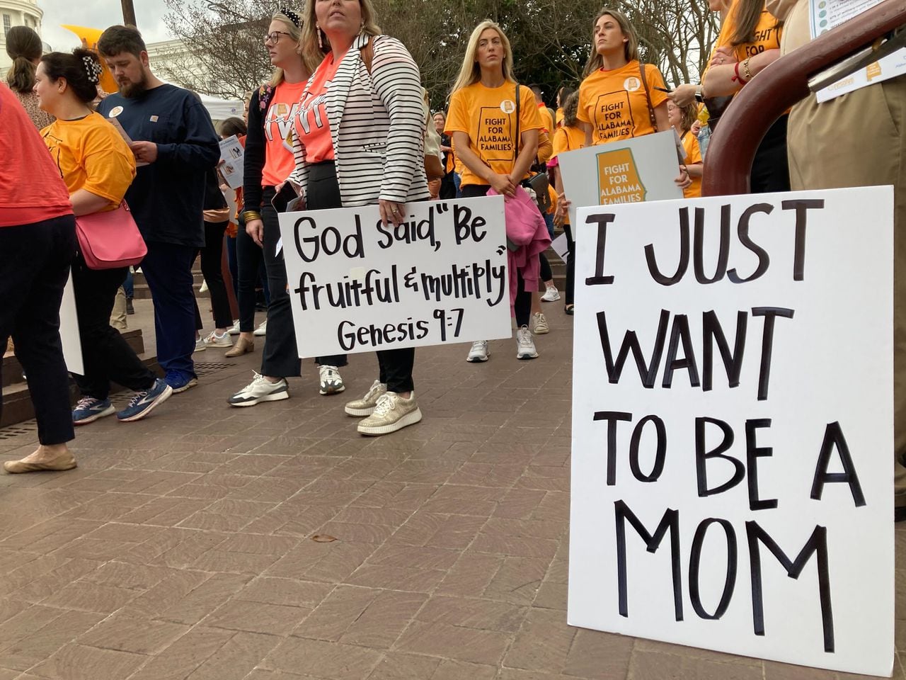 IVF rally at Alabama State House