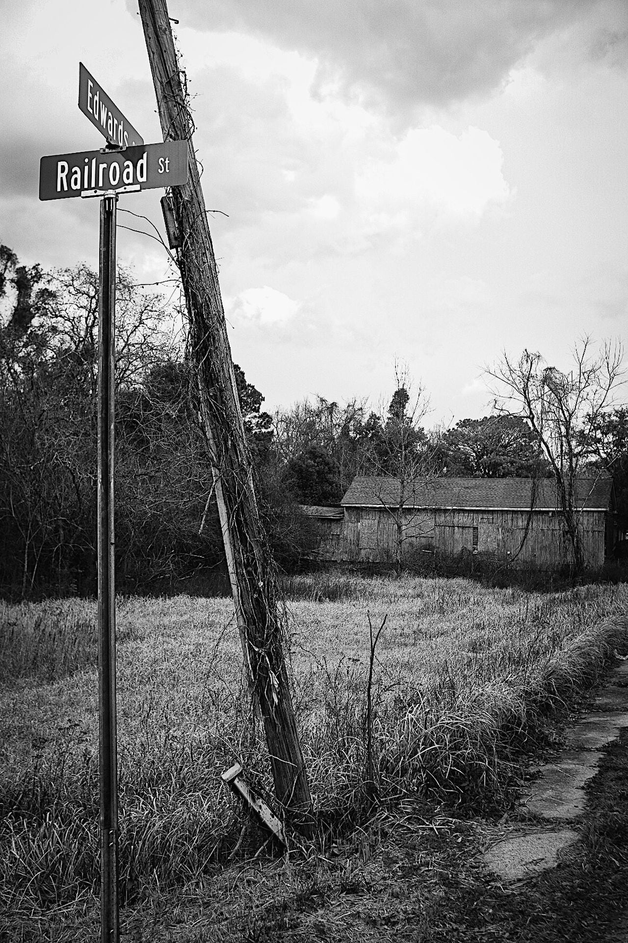 Overgrown lot in Africatown