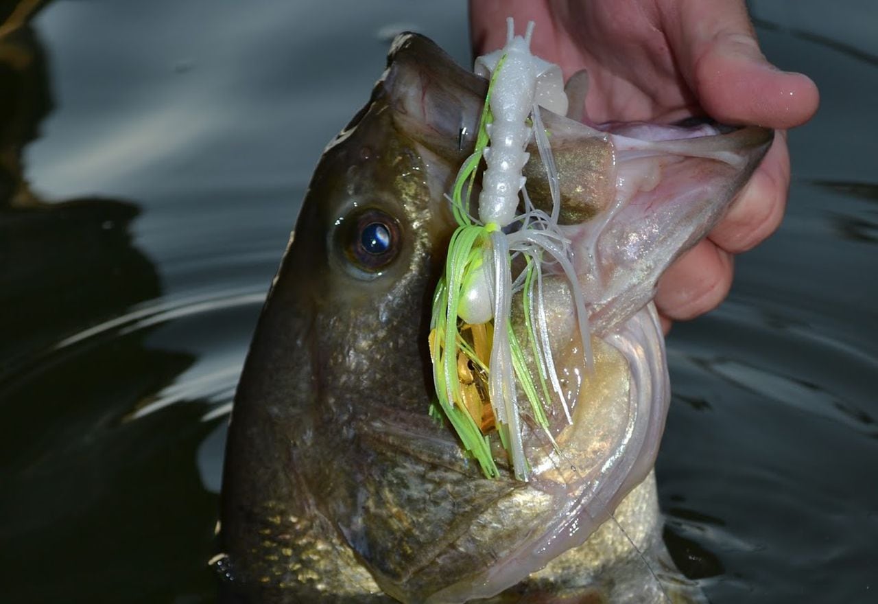 Alabama feels the loss of 3 of its outdoors icons