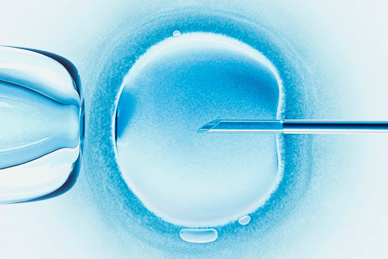 Alabama IVF ruling renews focus on chemical exposure and infertility