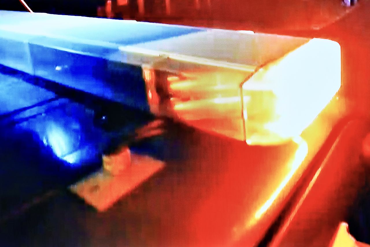 ‘Just a very tragic accident’ says mom of 2-year-old Alabama dog attack victim