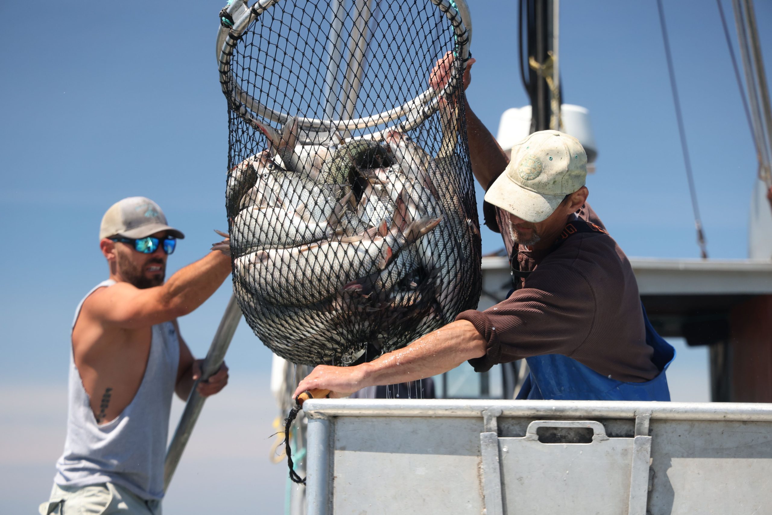 Warming waters are ‘scrambling ocean life’ on all sides of the United States