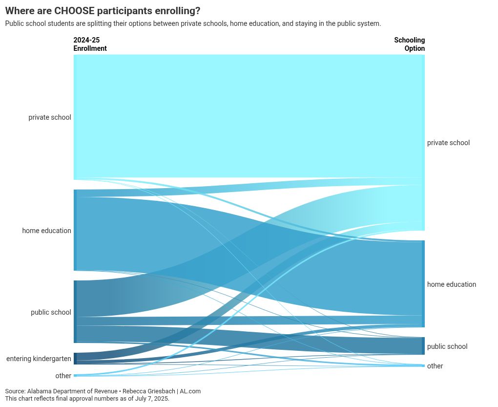 sankey visualization
